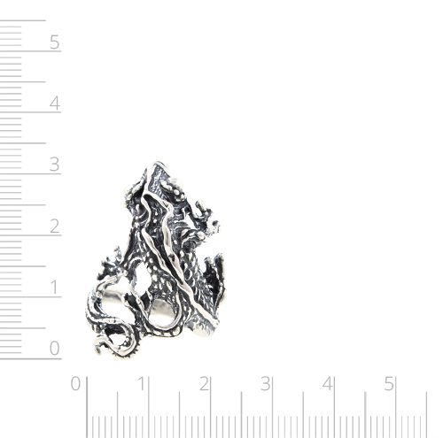 Серебряное кольцо "Игуана" (Ag 925)